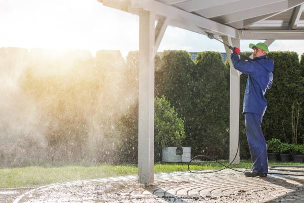 Pre-Holiday Cleaning in Socastee, SC